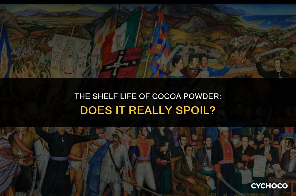 can cocoa powder spoil