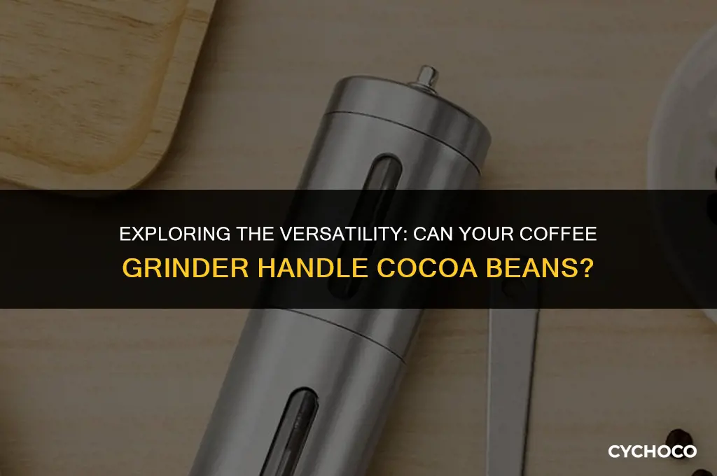 can coffee grinder grind cocoa beans