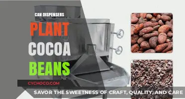 Exploring the Possibilities: Can Dispensers Plant Cocoa Beans?