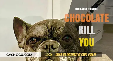 Can Overeating Chocolate Be Deadly? Uncovering the Sweet Truth