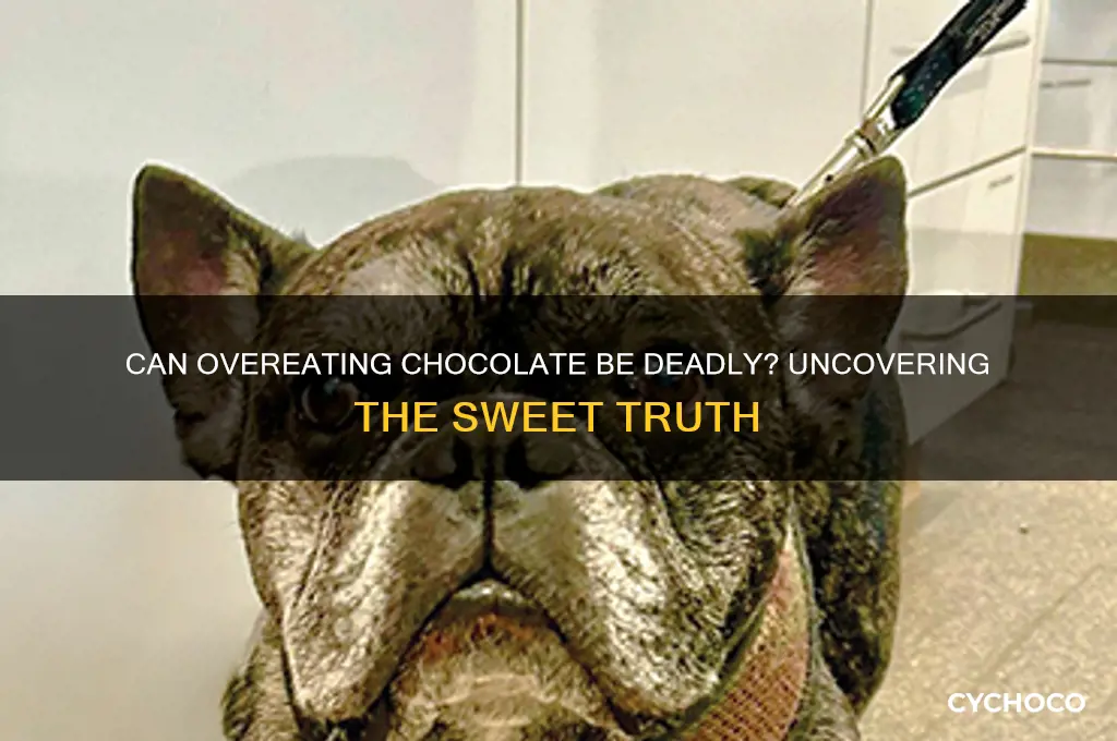 can eating to much chocolate kill you