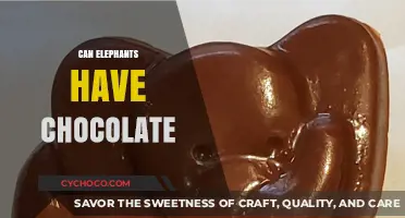 Sweet Treats for Trunks: Can Elephants Indulge in Chocolate?