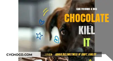 The Lethal Danger of Chocolate for Dogs: What You Need to Know