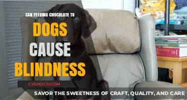 The Sweet Deception: Chocolate's Hidden Danger to Canine Sight