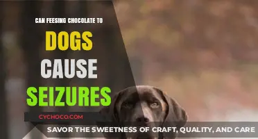 The Truth About Chocolate: Can It Really Cause Seizures in Dogs?