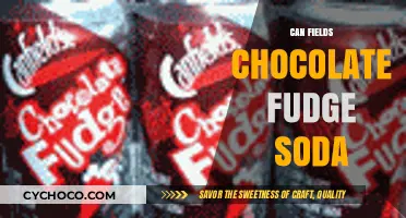 Indulgent Delights: Can Fields Chocolate Fudge Soda Takeover?