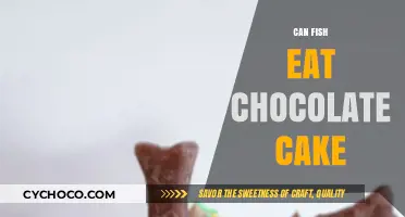 Sweet Treats for Swimmers: Can Fish Indulge in Chocolate Cake?