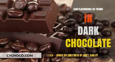 Dark Chocolate Delights: Unveiling the Flavonoid Connection