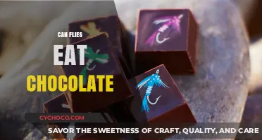 Sweet Temptations: Can Flies Resist the Allure of Chocolate?