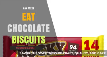 Sweet Treats for Sly Foxes: The Truth About Chocolate Biscuits