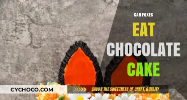 Sweet Treats for Sly Foxes: Can They Indulge in Chocolate Cake?