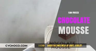 Chill or Not: The Great Chocolate Mousse Freeze Debate