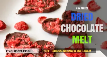 The Surprising Truth About Freeze-Dried Chocolate Melting