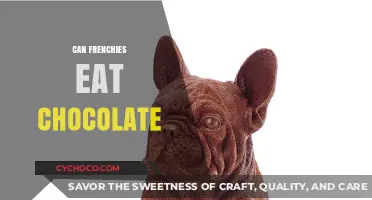 Sweet Treats for Frenchies: The Chocolate Conundrum