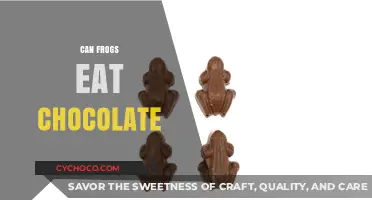 Sweet Treats for Amphibians: Can Frogs Indulge in Chocolate?