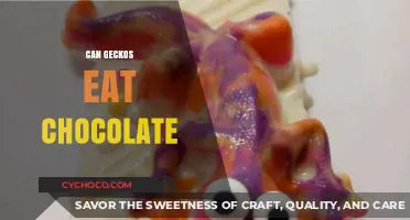 Sweet Treats for Scaly Friends: Can Geckos Indulge in Chocolate?