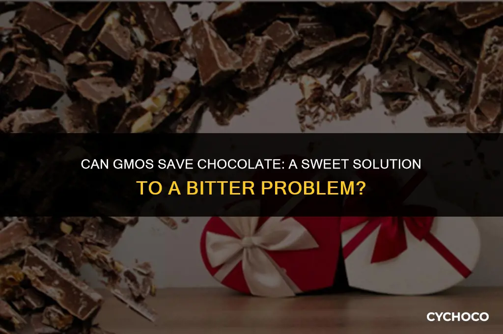 can gmo save chocolate