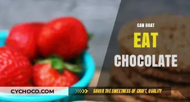 Sweet Treats for Goats: The Truth About Chocolate Consumption