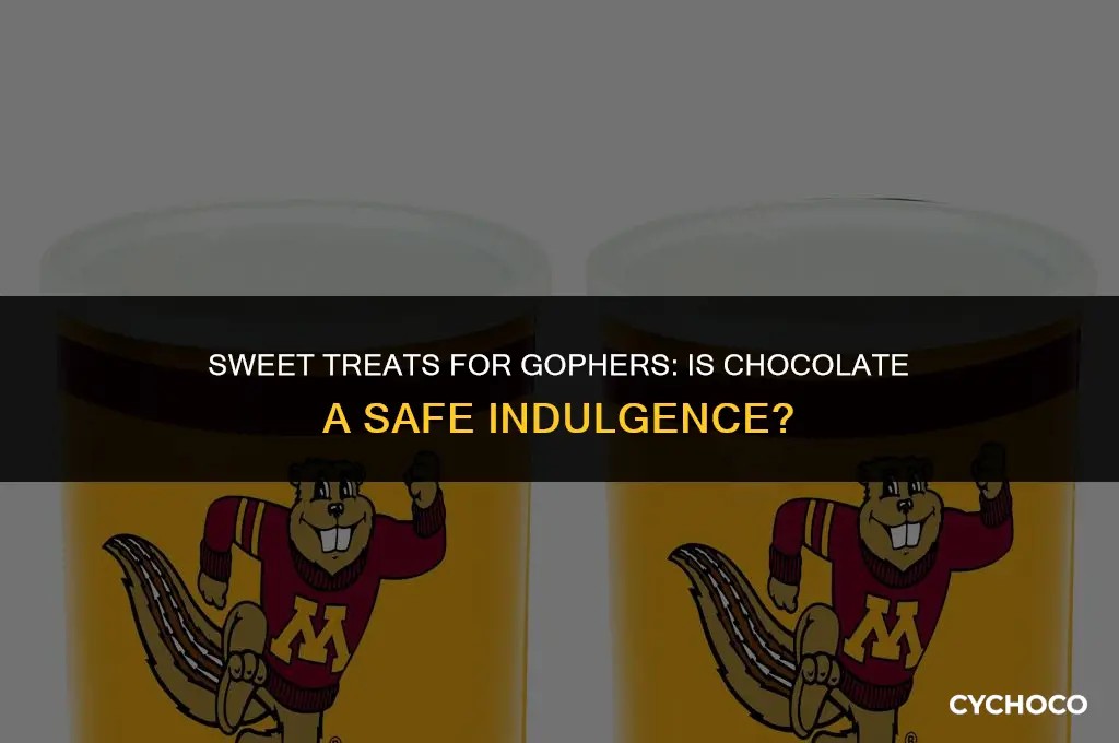can gophers eat chocolate
