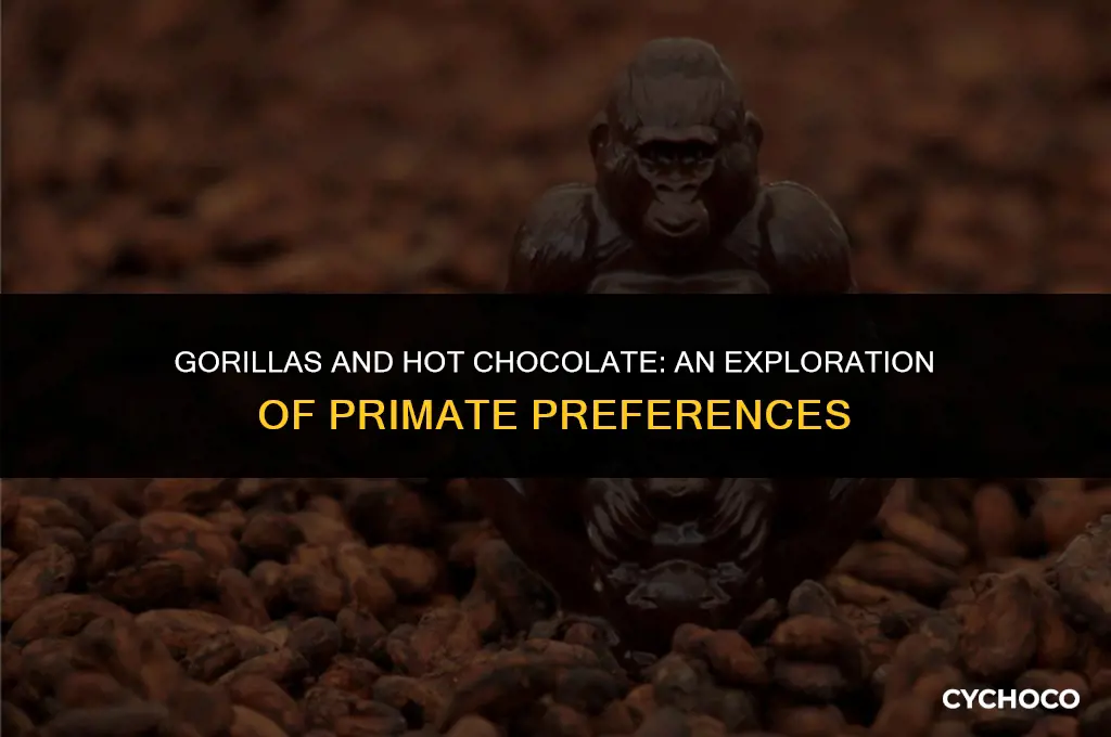 can gorillas drink hot chocolate