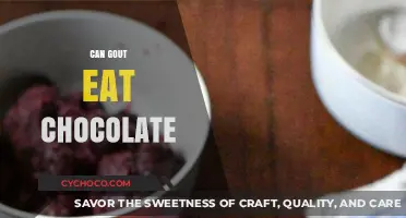 Indulgence in Moderation: Can Gout Patients Enjoy Chocolate?