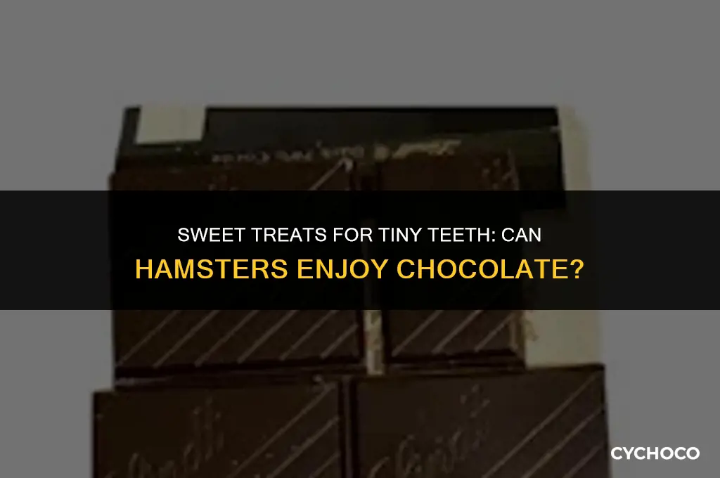 can hamster eat chocolate