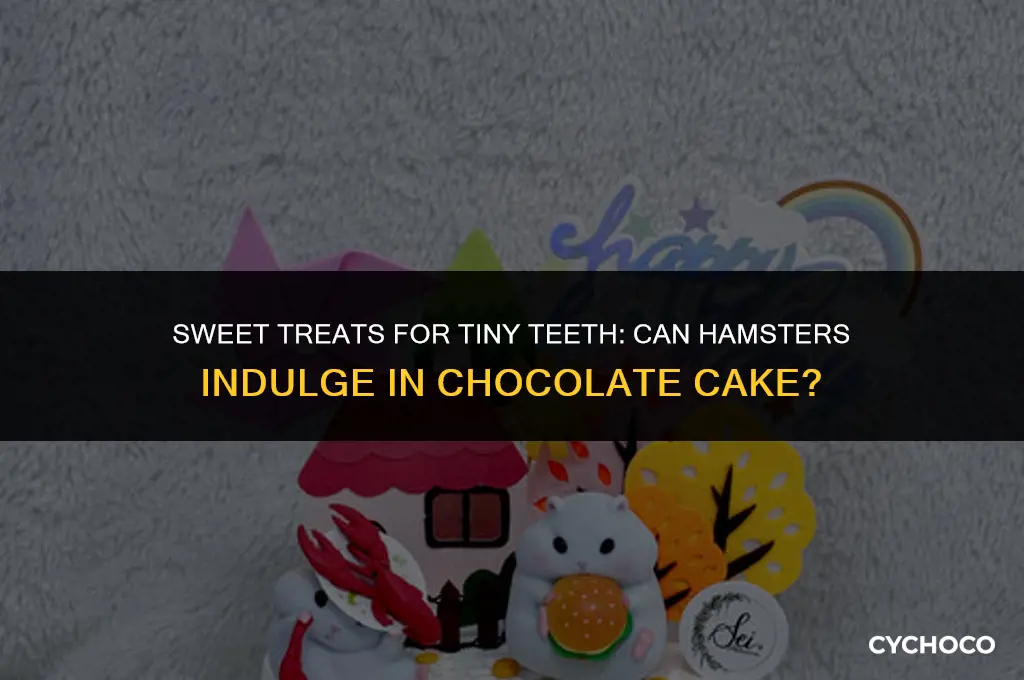 can hamsters eat chocolate cake