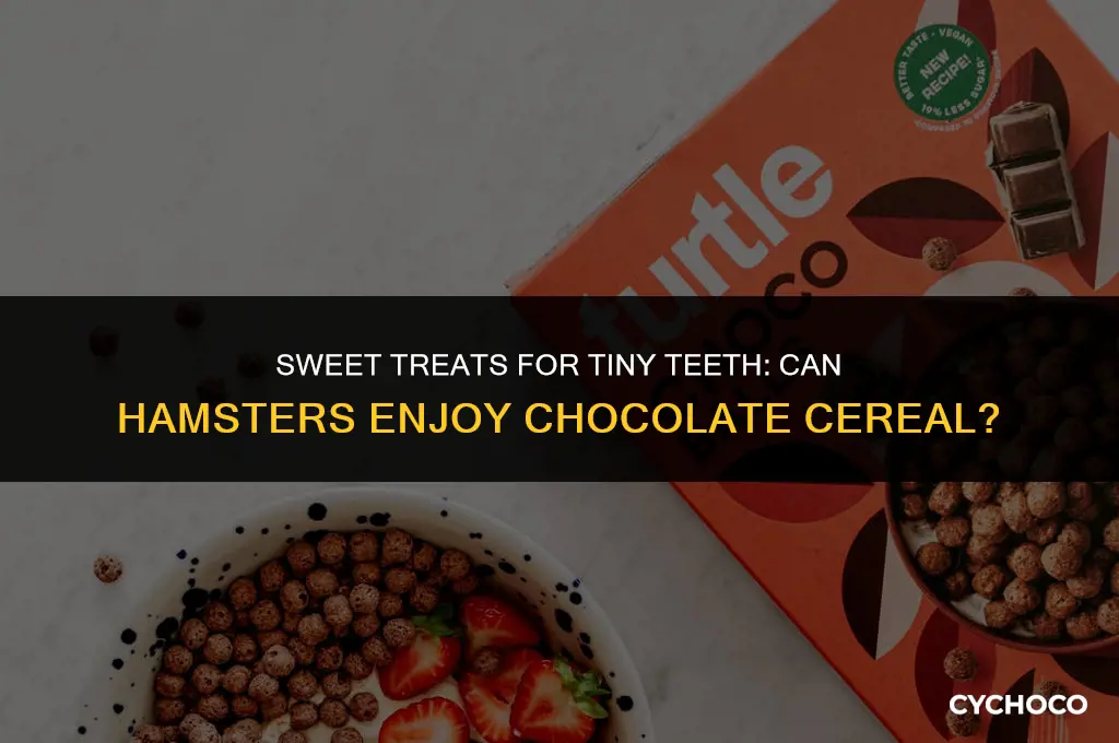 can hamsters eat chocolate cereal