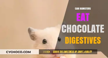 Sweet Treats for Tiny Teeth: Can Hamsters Enjoy Chocolate Digestives?