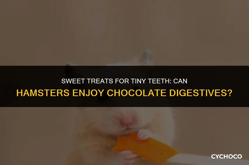can hamsters eat chocolate digestives