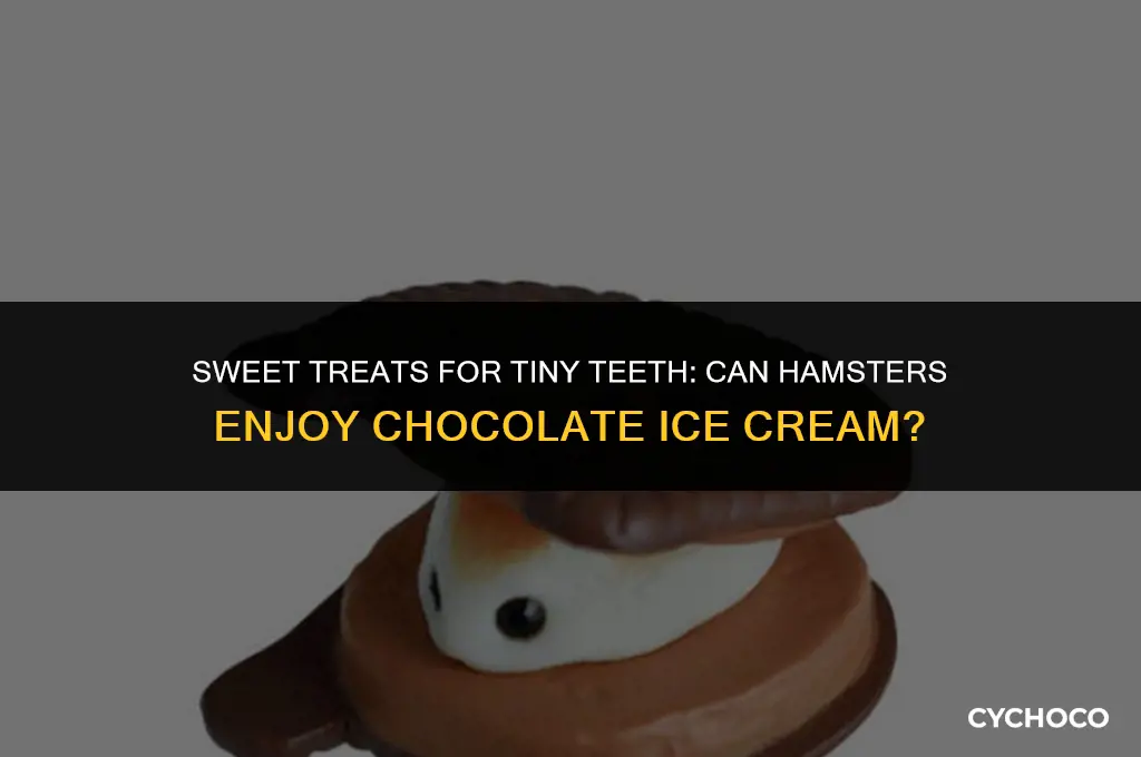 can hamsters eat chocolate ice cream