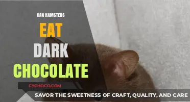 Sweet Treats for Tiny Teeth: Dark Chocolate and Hamsters