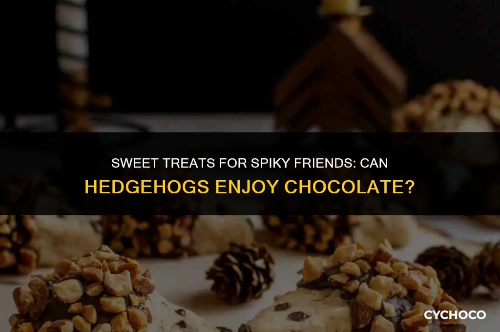 can hedgehog eat chocolate