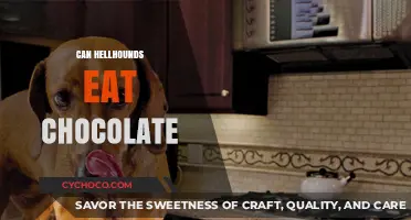 Sweet Danger: The Risks of Chocolate for Hellhounds