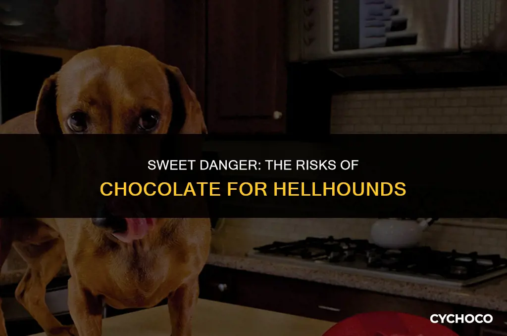 can hellhounds eat chocolate