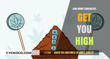 Exploring the Effects of Hemp Chocolate: Does It Induce a High?