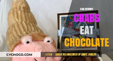 Sweet Treats for Shell-Dwellers: Can Hermit Crabs Enjoy Chocolate?