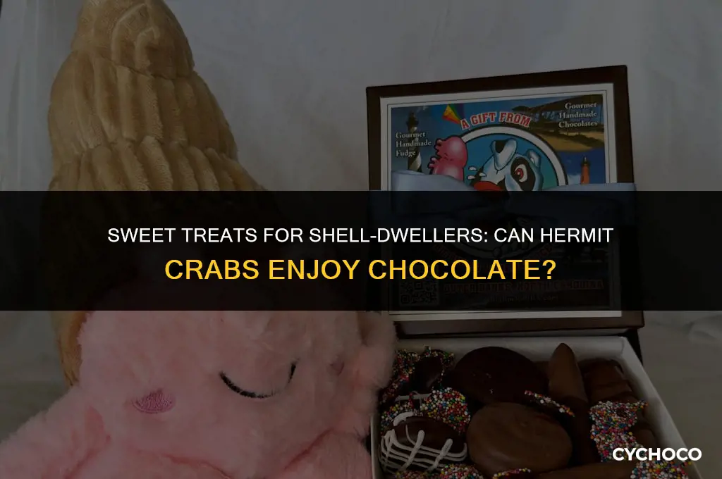 can hermit crabs eat chocolate
