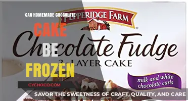 Freeze Your Homemade Chocolate Cake: A Delicious Time-Saver!