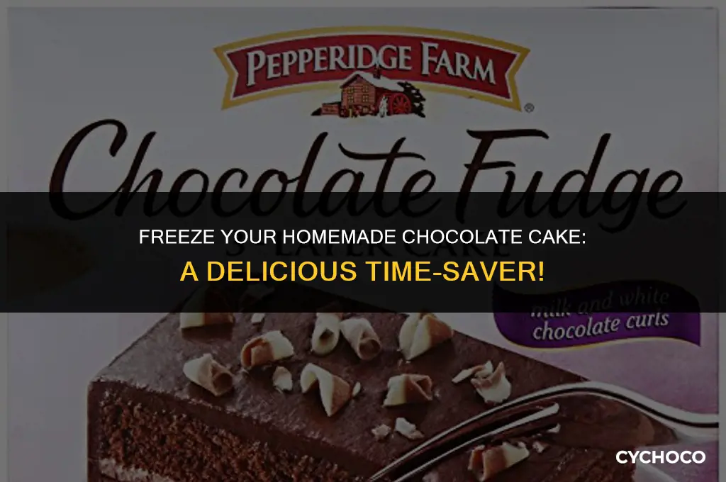 can homemade chocolate cake be frozen