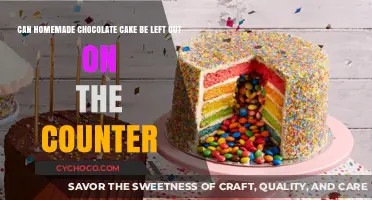 The Great Chocolate Cake Debate: Countertop Storage Tips