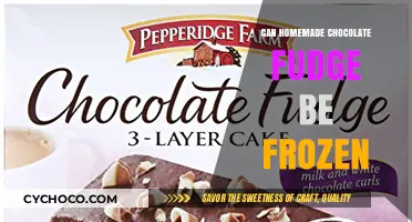 Sweet Treats: The Ultimate Guide to Freezing Homemade Chocolate Fudge