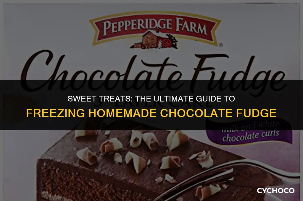 can homemade chocolate fudge be frozen