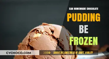Sweet Treats: The Ultimate Guide to Freezing Homemade Chocolate Pudding