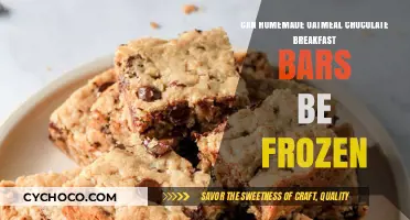Freeze Your Morning Delight: Homemade Oatmeal Chocolate Breakfast Bars