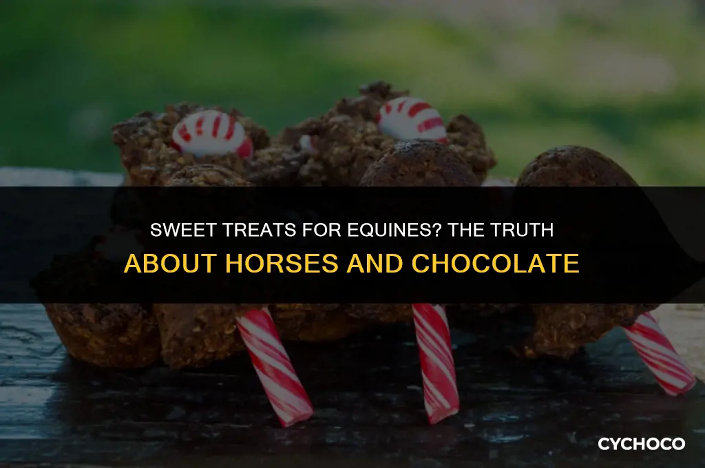 can horse eat chocolate