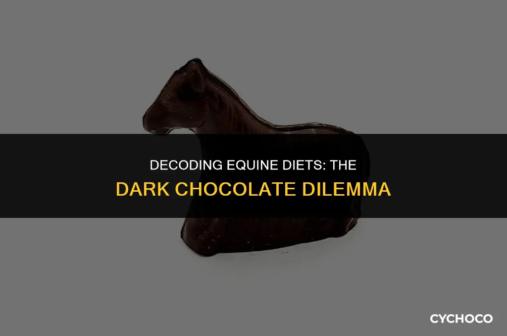 can horses eat dark chocolate