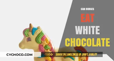 Sweet Treats for Equines: The Truth About Horses and White Chocolate