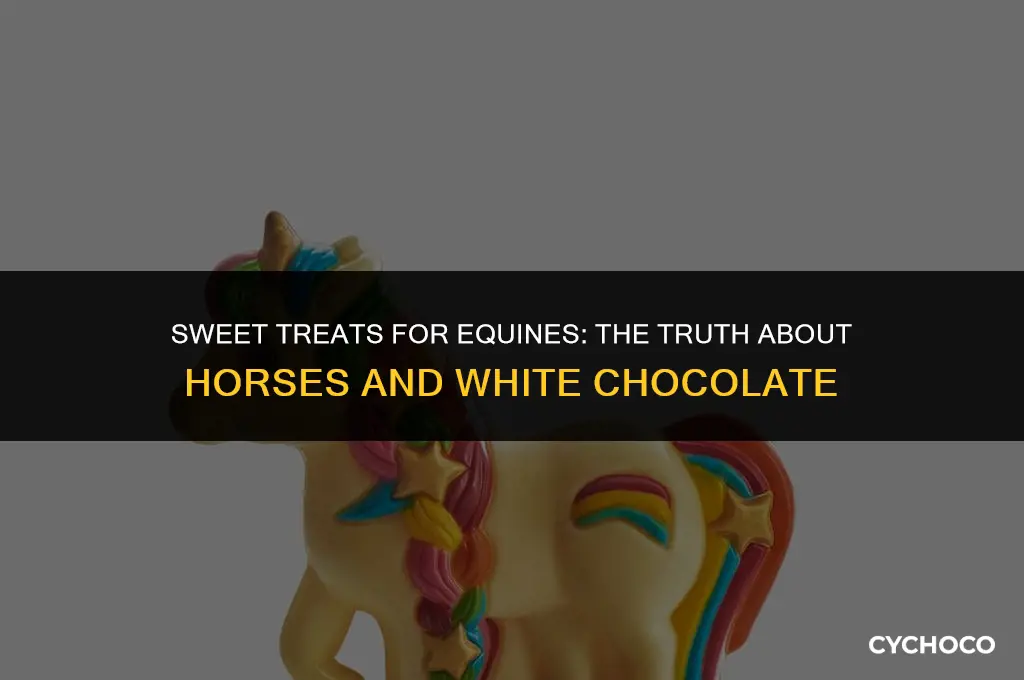 can horses eat white chocolate