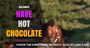 Cozy Equine Treats: Can Horses Safely Enjoy Hot Chocolate?